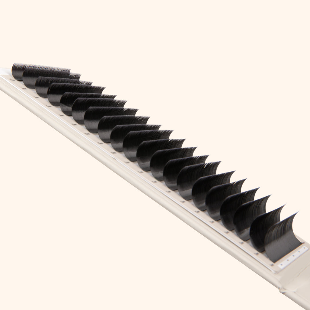 Volume Kensington Lashes 0.07 - 20 Lash Lines