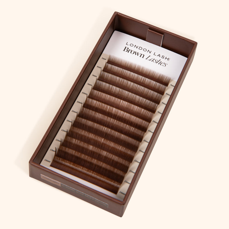 Brown Lashes - Americano Collection