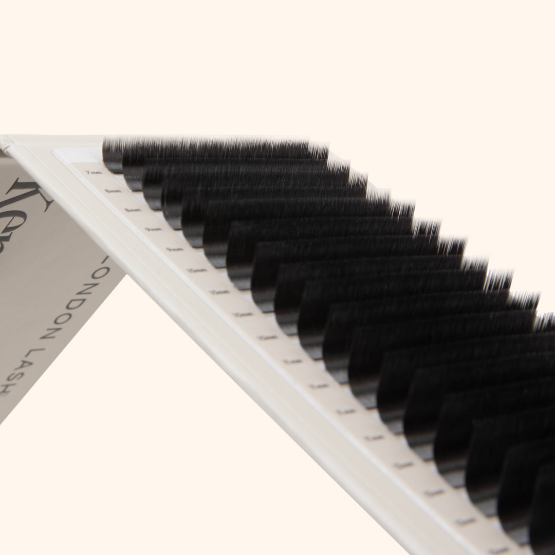 Kensington Lashes