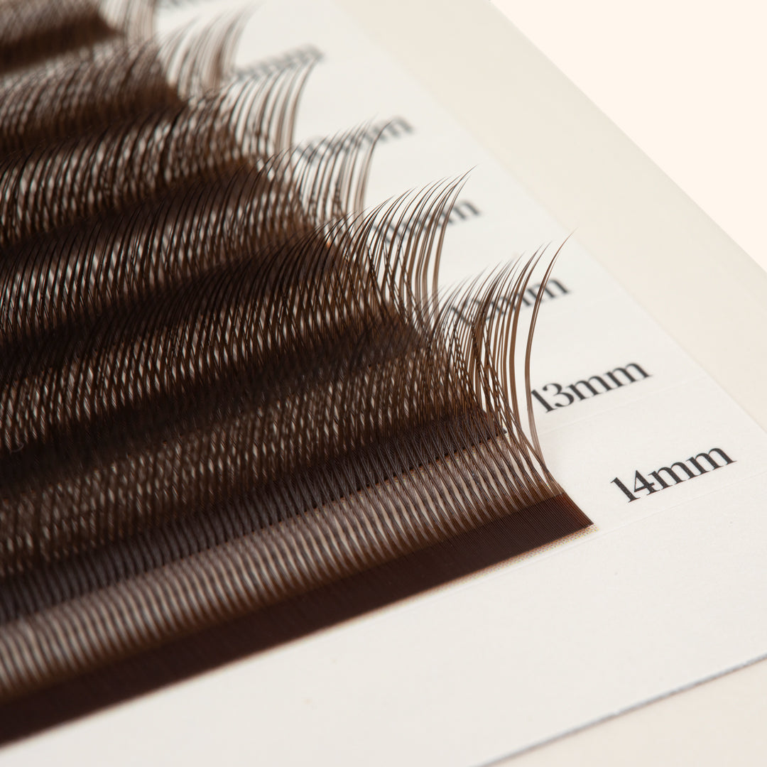 Ciglia da gattino - Marrone