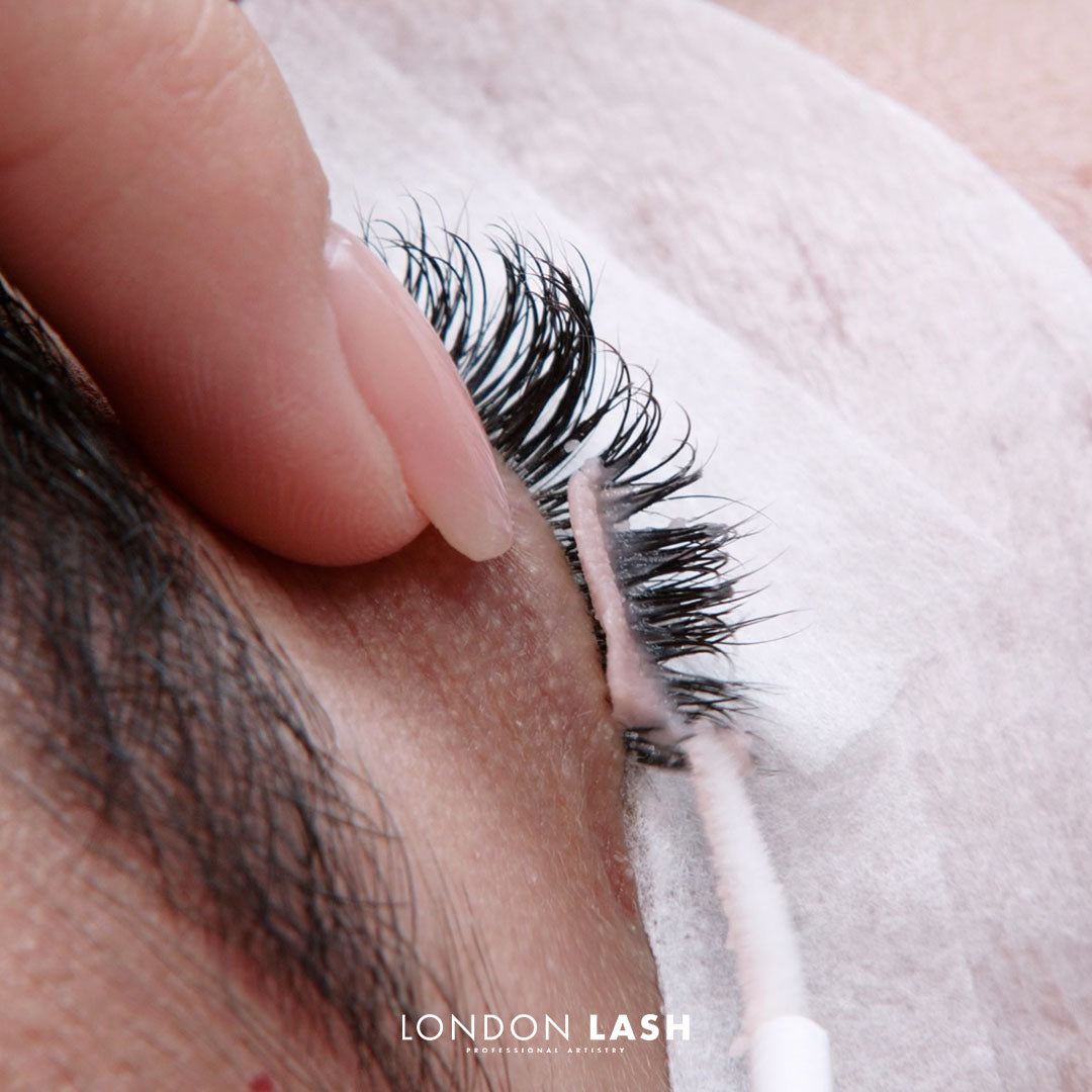 Lash Knowledge Builder: volume classico, ibrido e veloce